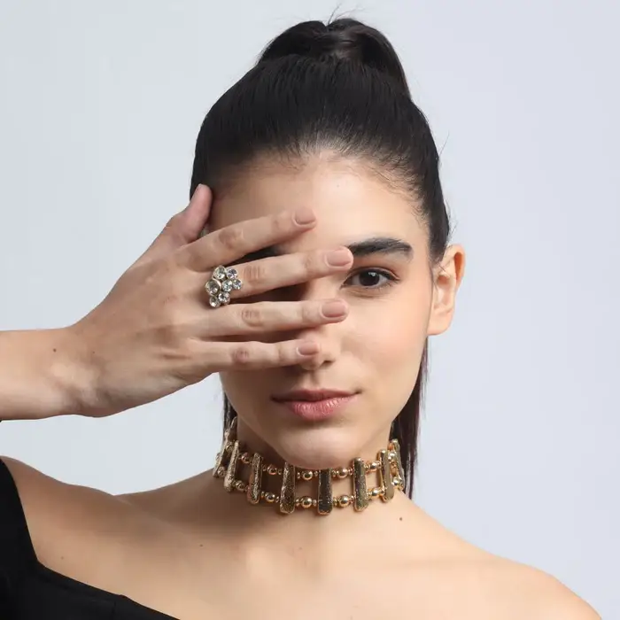 Tfc Aureate Gold Plated Choker Necklace : 20212