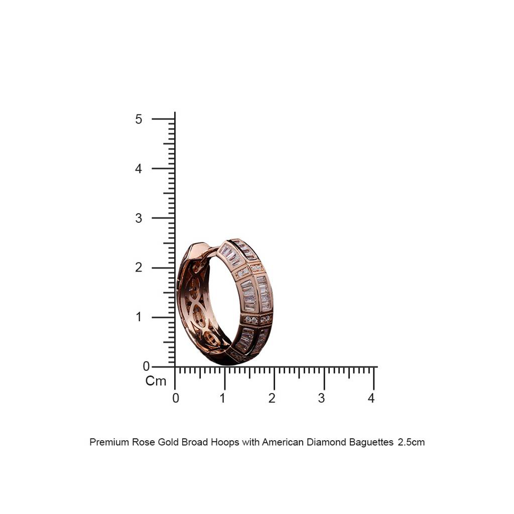 Premium Rose Gold Broad Hoops With American Diamond Baguettes : TE2193