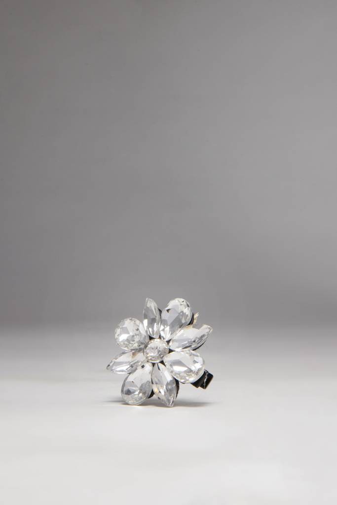 Crystal Stone Clip Silver : BSJCL03