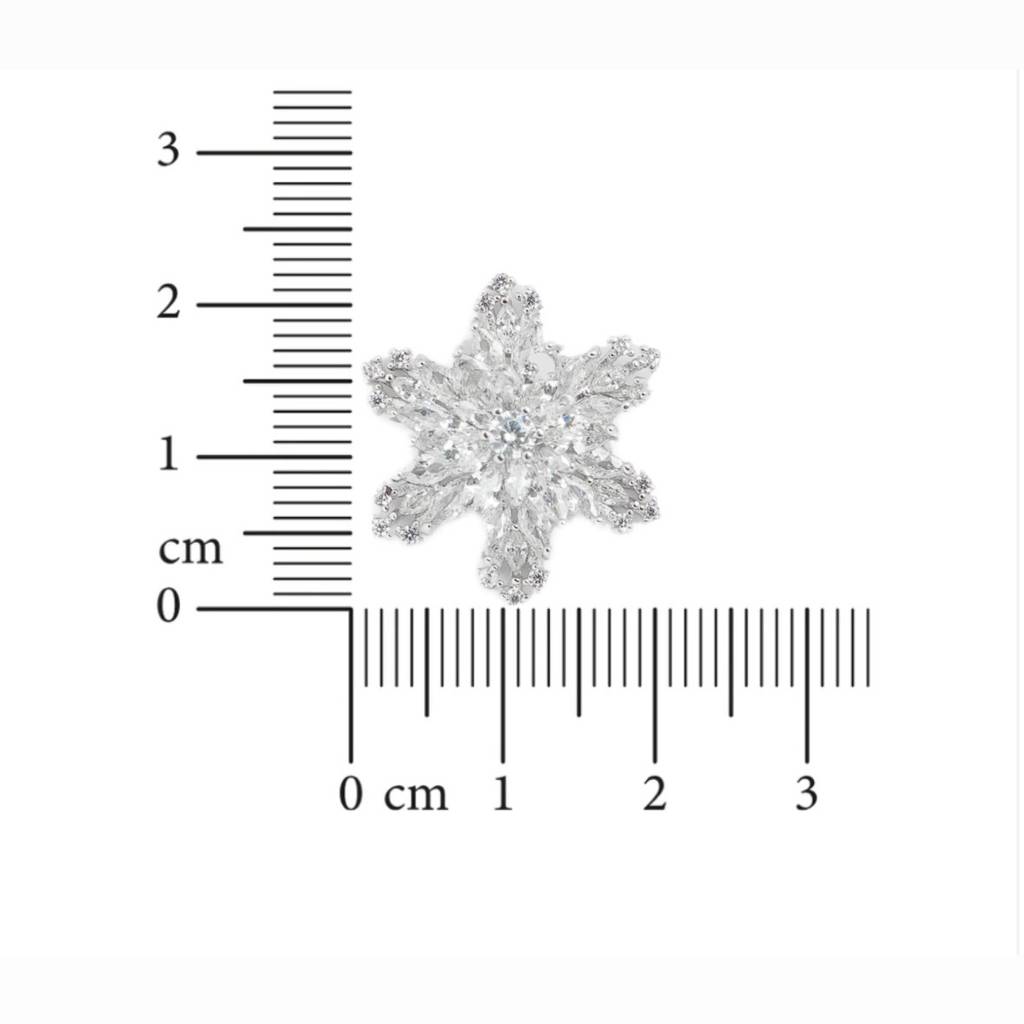 Snowflake: 925 Sterling Silver Earrings For Women : 1062EA