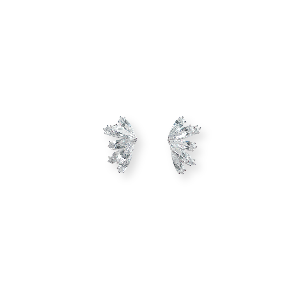 Frozen In Time: 925 Sterling Silver Earrings For Women : 1064EA