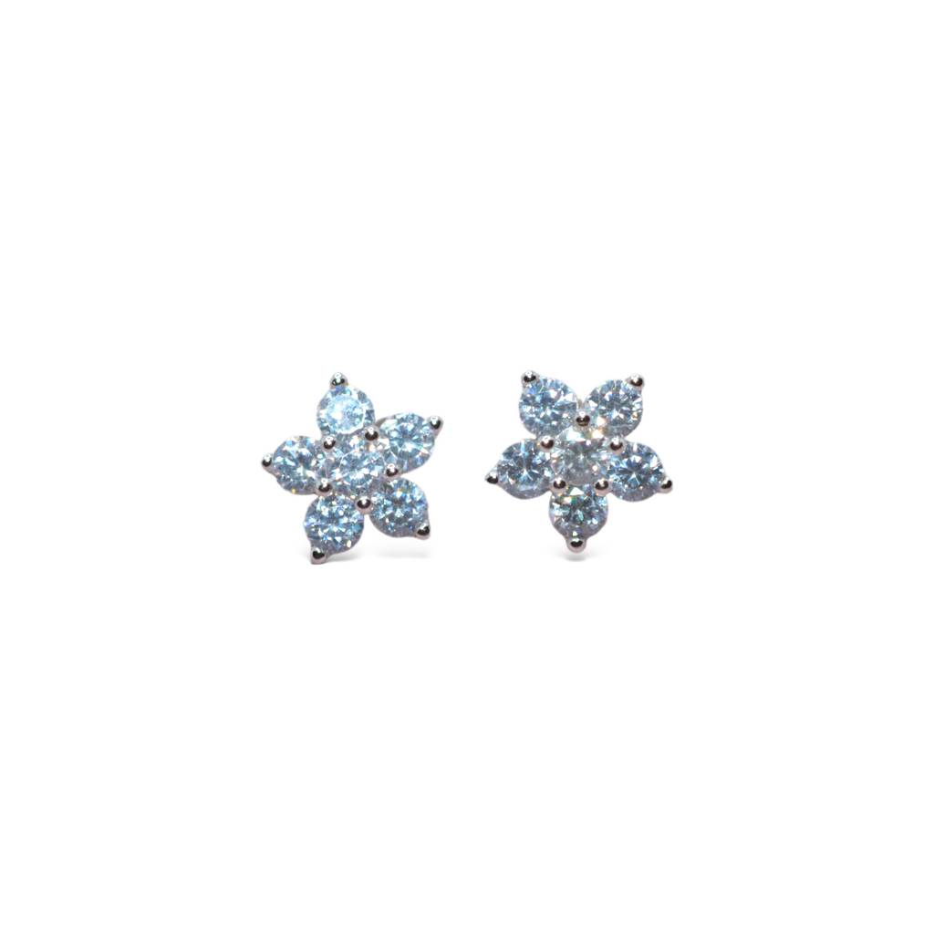 Glowing Garden Earring : 1071