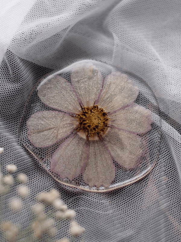 Candy Cosmos Pin : LA-PP-CA