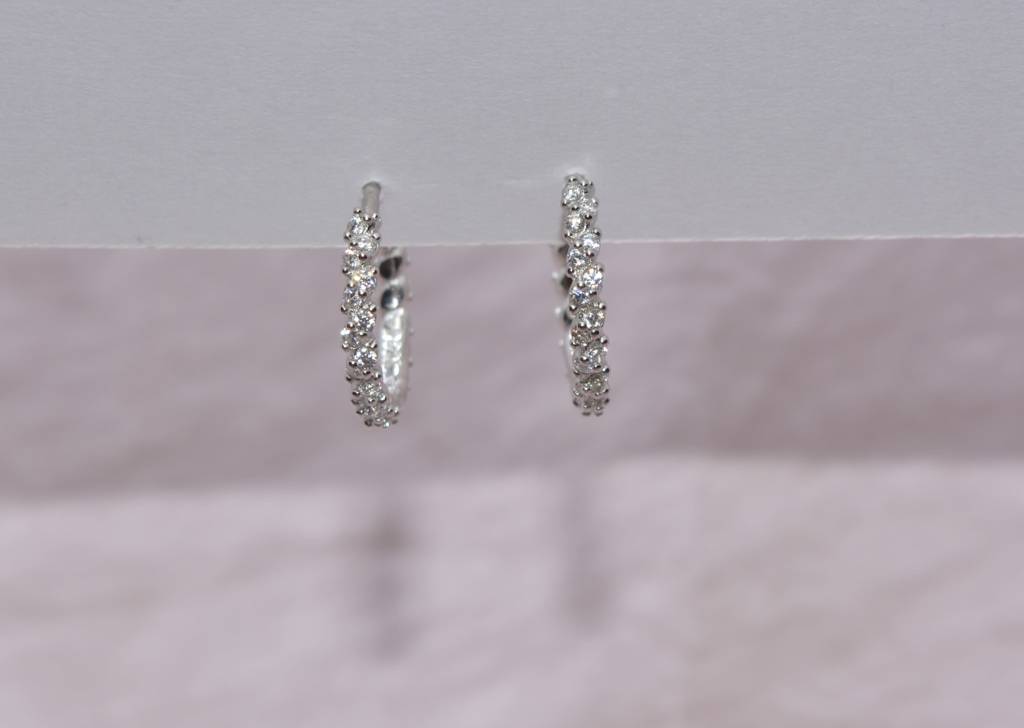 Irresistible Spiral Elegance Hoop Earrings : 1133