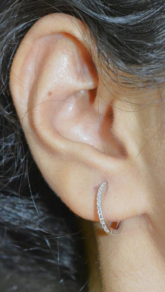 Gleaming Ovals Hoop Earrings : 1150