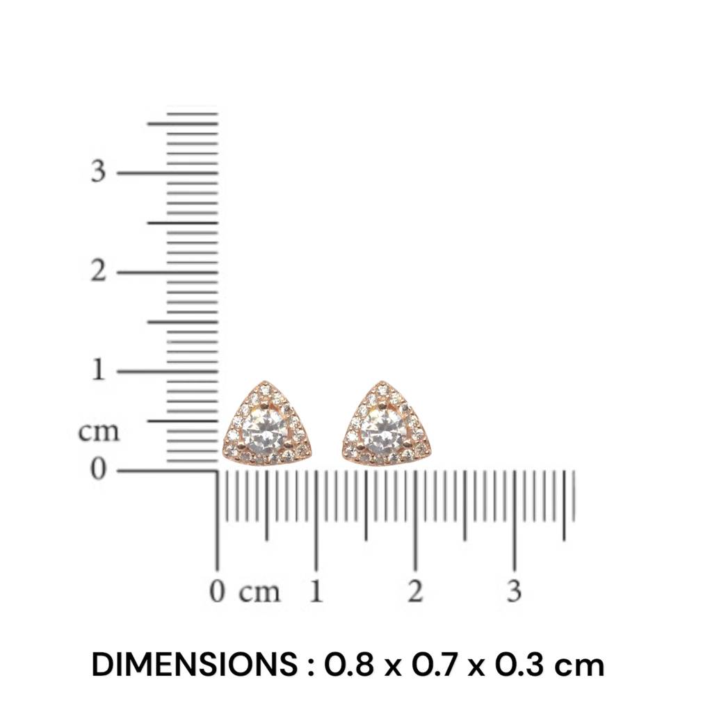 Sparkling Triangular Earrings - 925 Silver Jewelry : 1313
