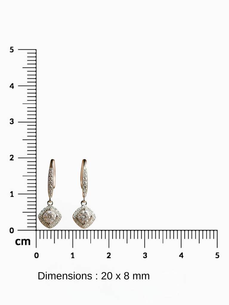 Drop Hook Earrings : 1371