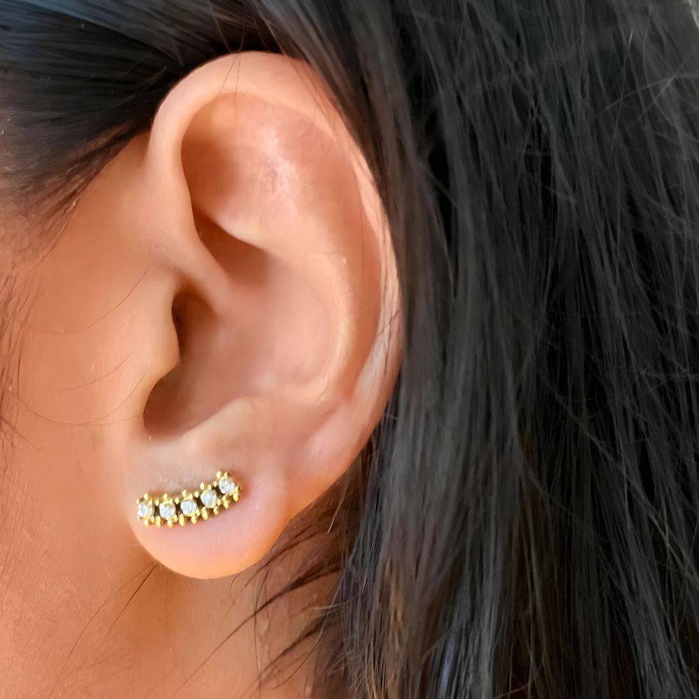 18Kt Gold Plated Dainty Piercing Inlaid 5 Zircon Stud Earring, Nirvana : INNIRVANA