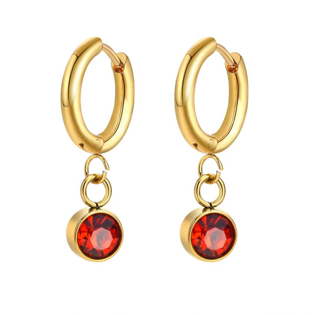 18K Gold Plated Zircon Drop Hoop Earrings : RJFSER68