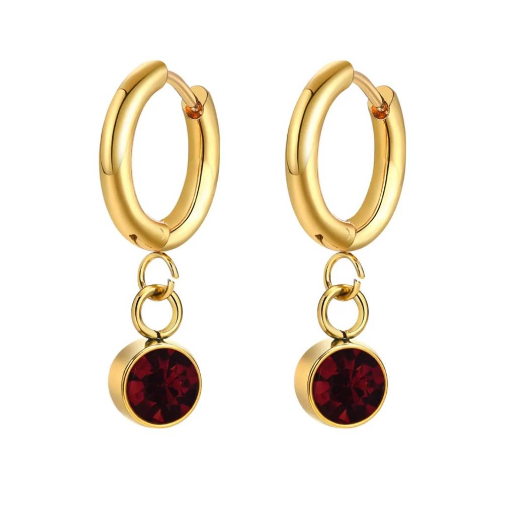 18K Gold Plated Zircon Drop Hoop Earrings : RJFSER69