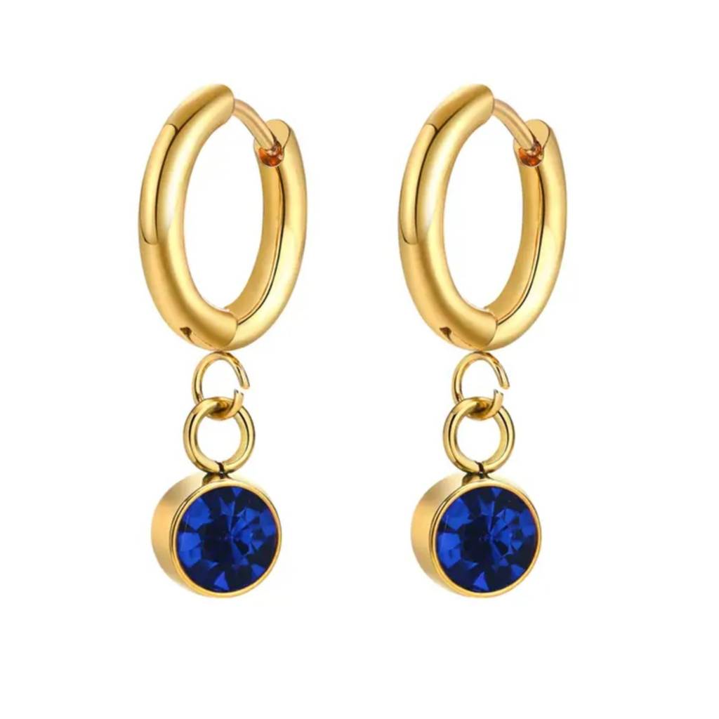 18K Gold Plated Zircon Drop Hoop Earrings : RJFSER73