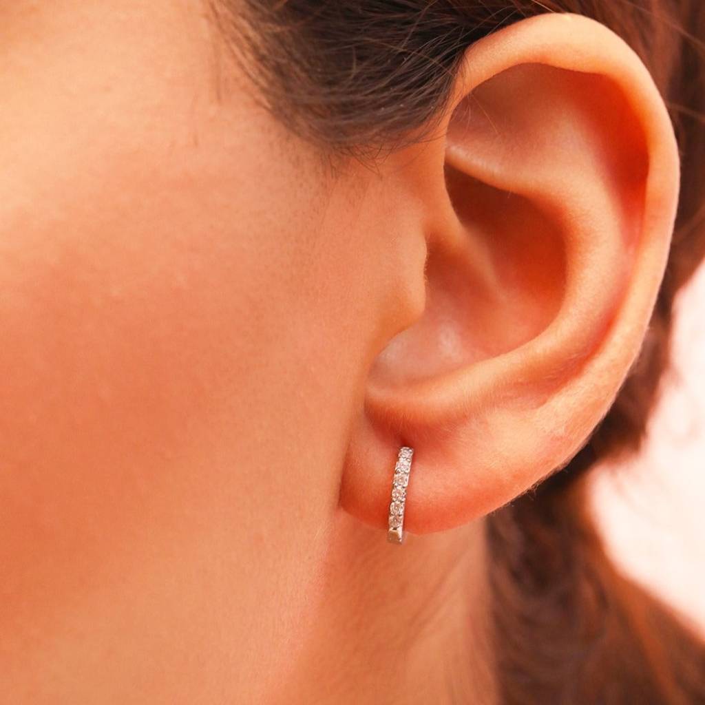 The Whimsical Hoop 925 Silver Earrings : EAR-20094