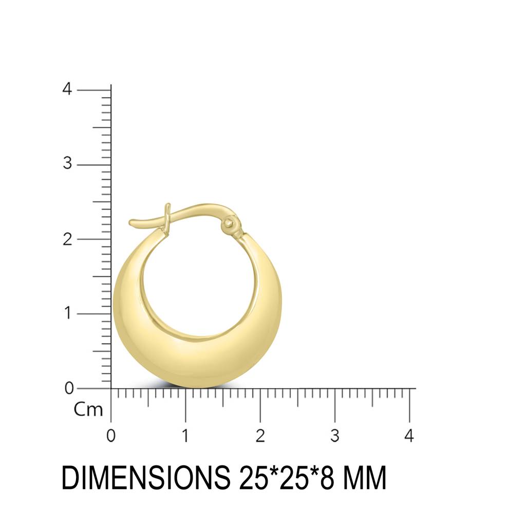 Radiant Sterling Silver Hoop Earrings With A Classic Design For A Touch Of Luxury : TWP1263