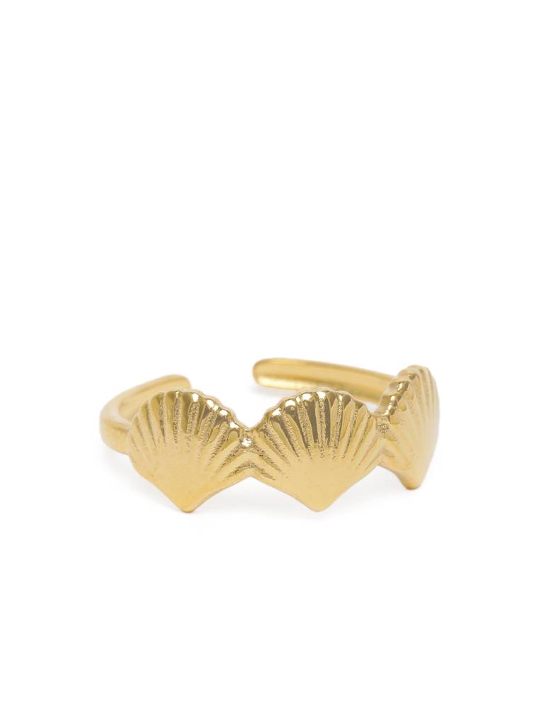 Golden Scallop Shell Ring : AVRI10007