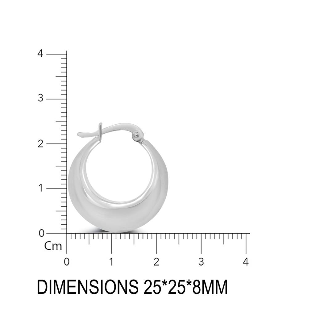 Sleek And Versatile Sterling Silver Hoop Earrings Perfect For Day-To-Night Wear : TWP1245