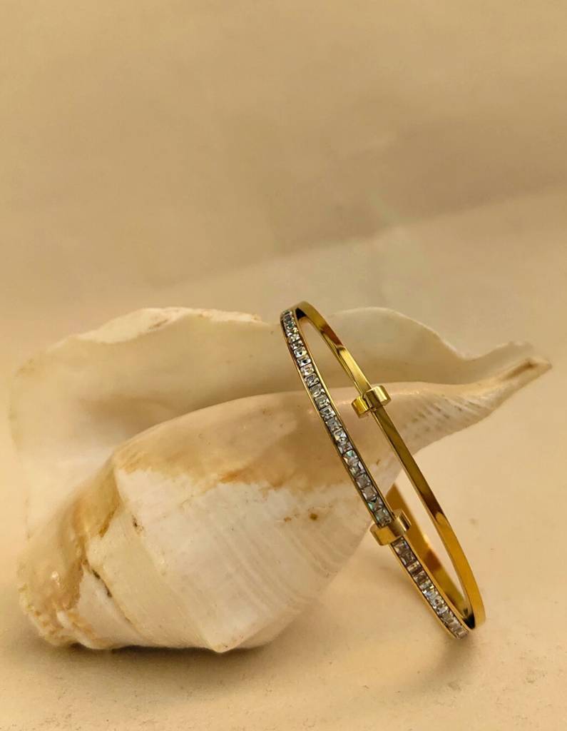 Double Line Studded Bracelet Â 18K Gold Plated With Premium Ad Stone : ATB520DLSSB