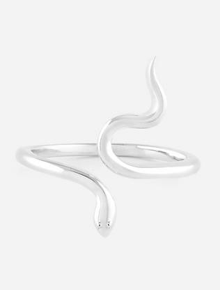 Slytherin : R-002