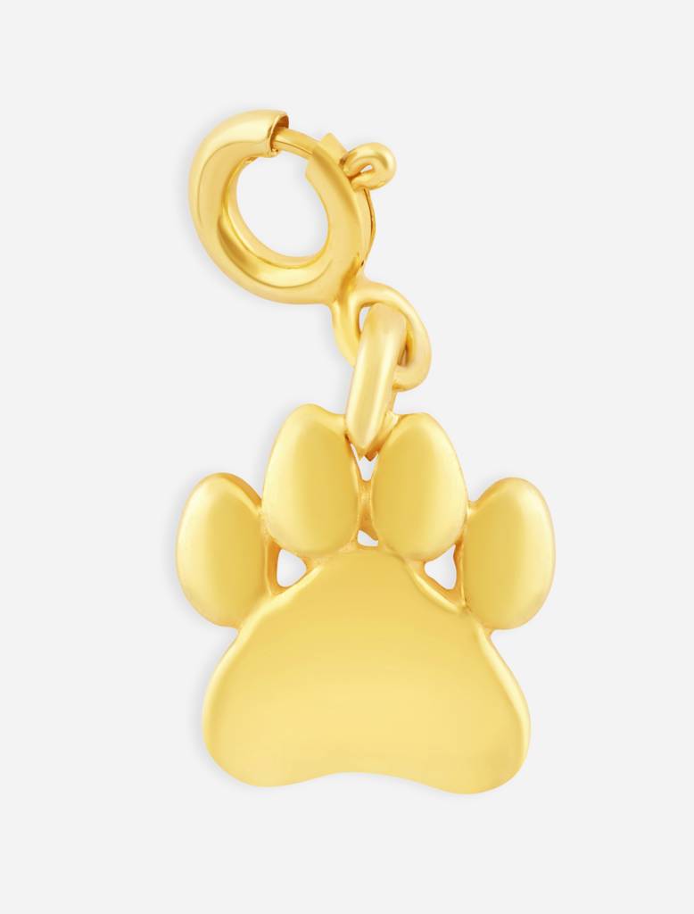 Paw Charm : PawCharm