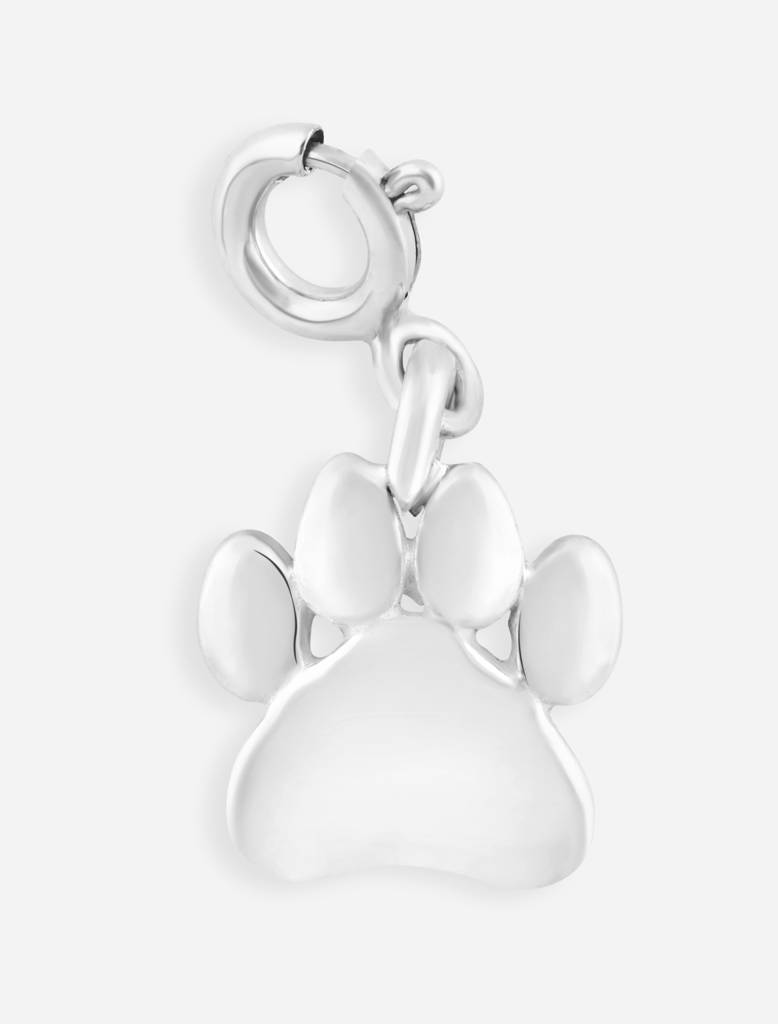 Paw Charm : PawCharm
