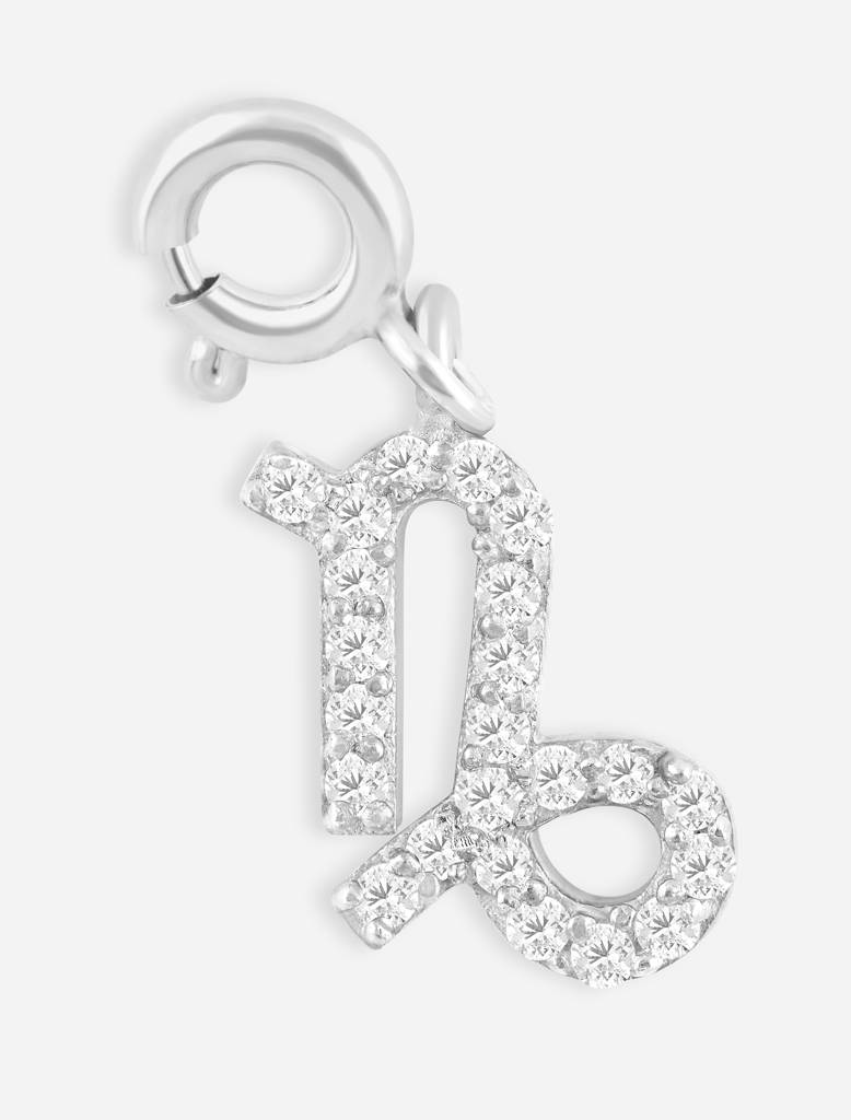 Capricorn Charm : CapricornCharm