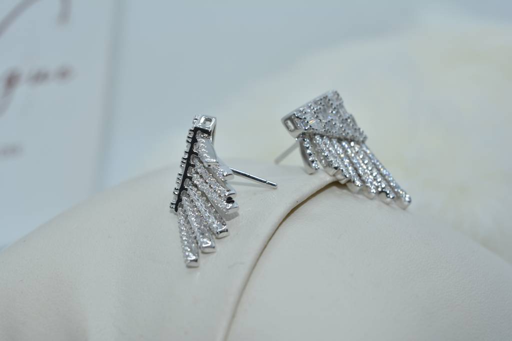 Dazzle Style Earrings : 342