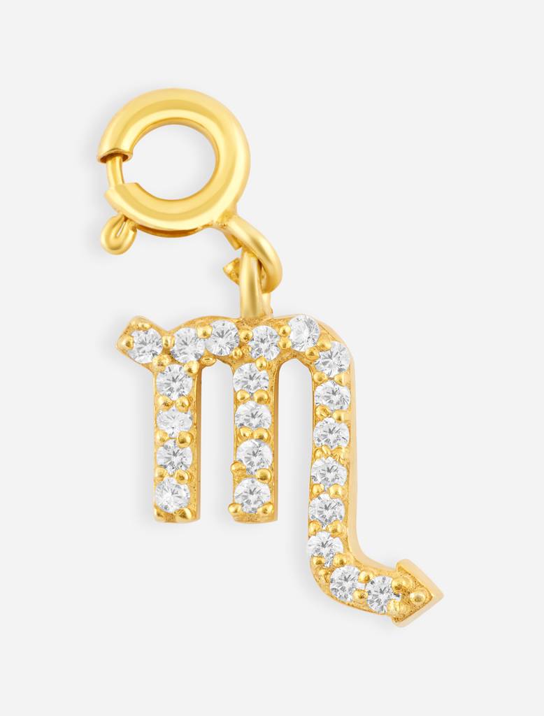 Scorpio Charm : ScorpioCharm