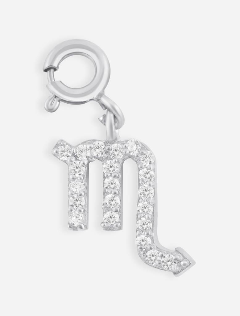Scorpio Charm : ScorpioCharm