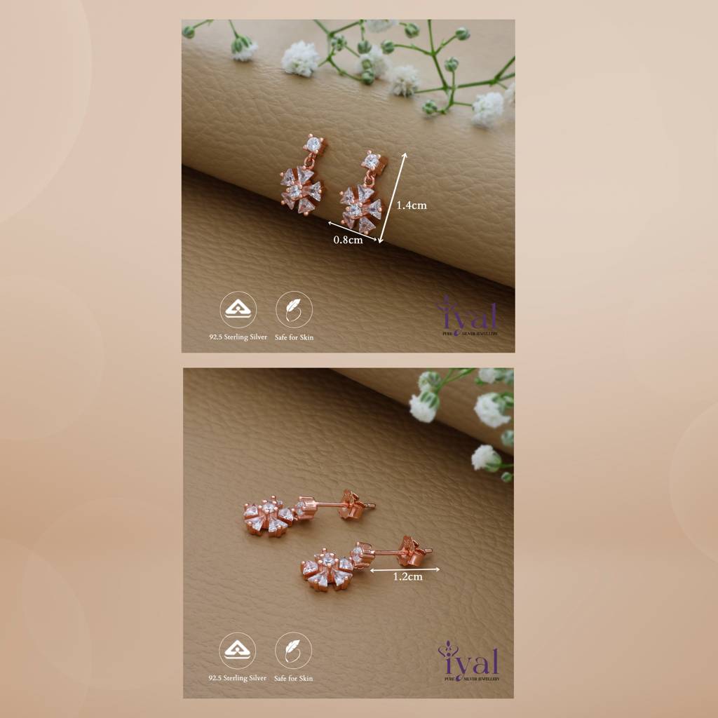 Snow Flake Shine 925 Silver Drop Earrings : ED-15