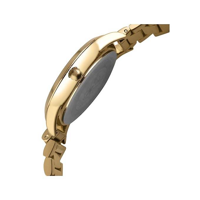 Swiss Eagle Women'S Analog Swiss Made Movement Watch With Stainless Steel Make - Se-9166 : SE-9166-33