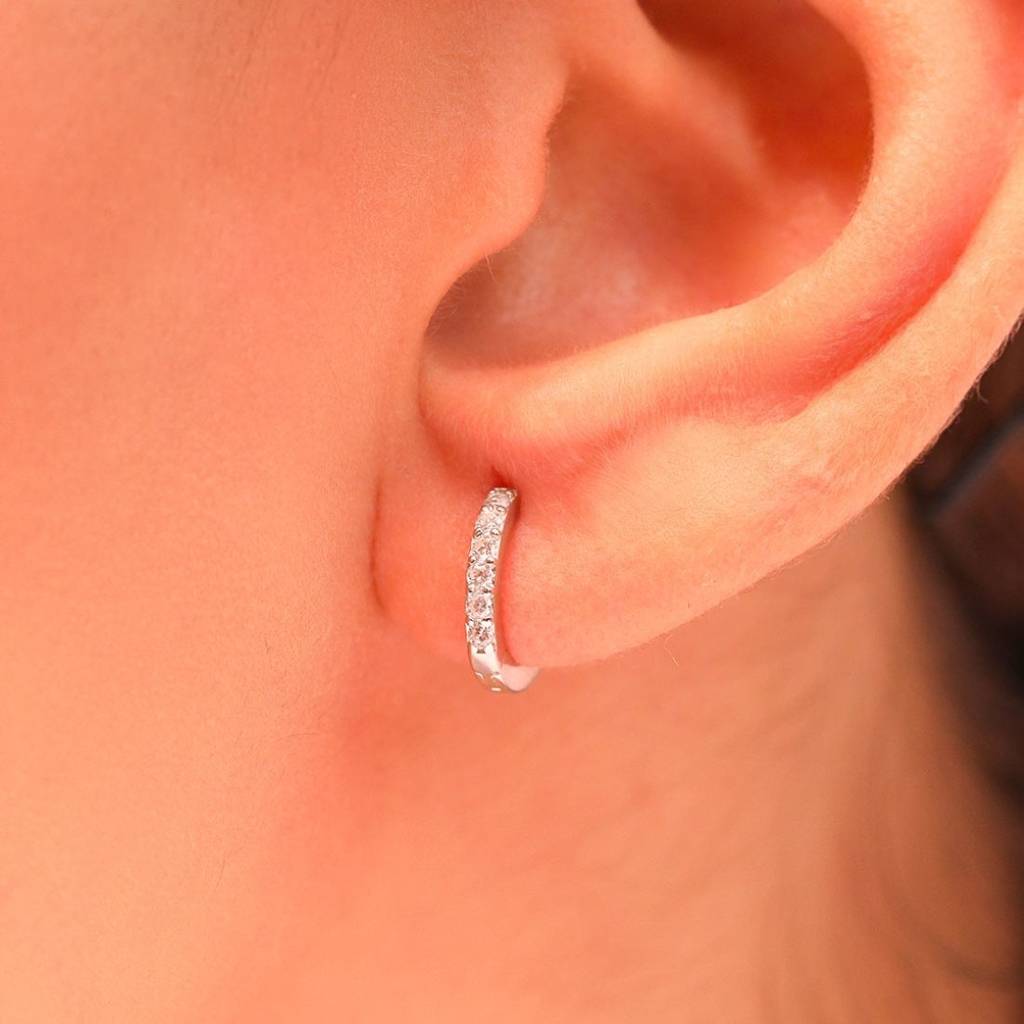 The Whimsical Hoop 925 Silver Earrings : EAR-20094