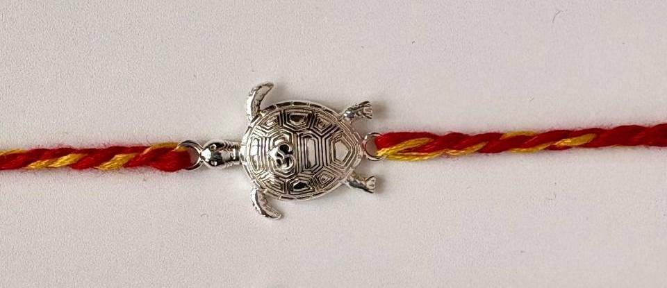 Turtle Rakhi : AJSEAMB0012
