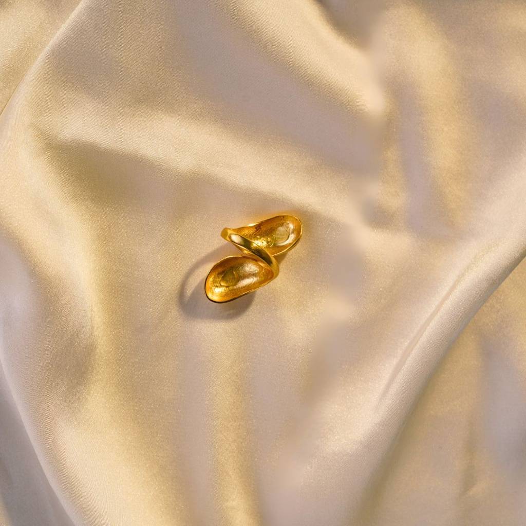Bubble Ring : BubbleRingNIH148RI22