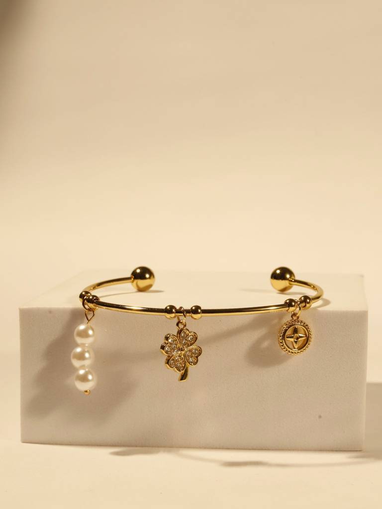 18K Gold-Plated Clover Charms Bracelet Â Stainless Steel, Cz Stones & Pearl Charms, Anti-Tarnish & Hypoallergenic : ATB558CCB