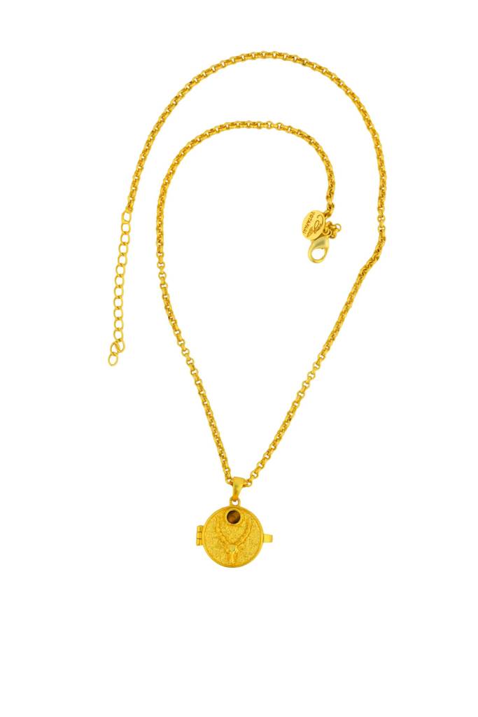 Golden Capricorn Nakshtra Photo Locket : TZSN22