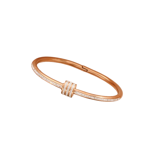 Ring Of Elegance Bangle Bracelet : RingofEleganceBangleBracelet-LT-BR-BR-03