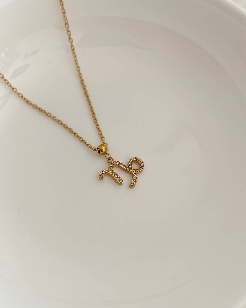 18K Gold Plated Zodiac Sign Necklace : N86L