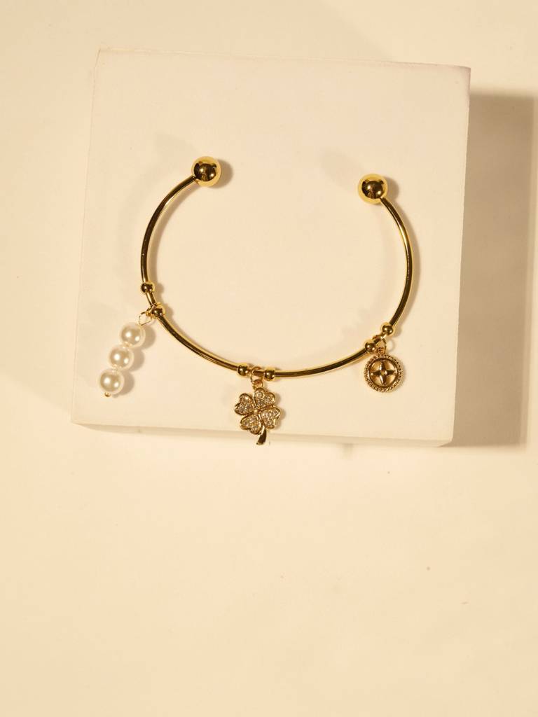 18K Gold-Plated Clover Charms Bracelet Â Stainless Steel, Cz Stones & Pearl Charms, Anti-Tarnish & Hypoallergenic : ATB558CCB