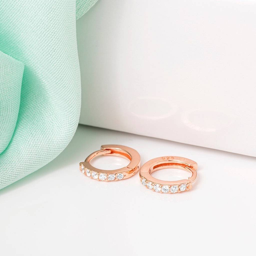 The Classic Rose Gold Moment Hoop 925 Silver Earrings : EAR-20111