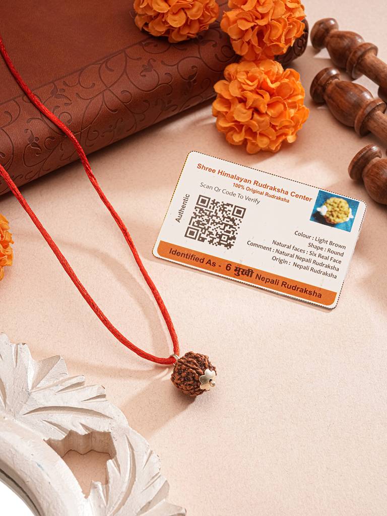 Natural 6 Mukhi Faces Rudraksh With Certificate  In Red Thread Pendant Necklace & Chain : STLK8202