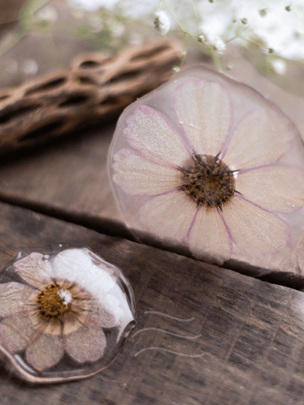 Candy Cosmos Pin : LA-PP-CA