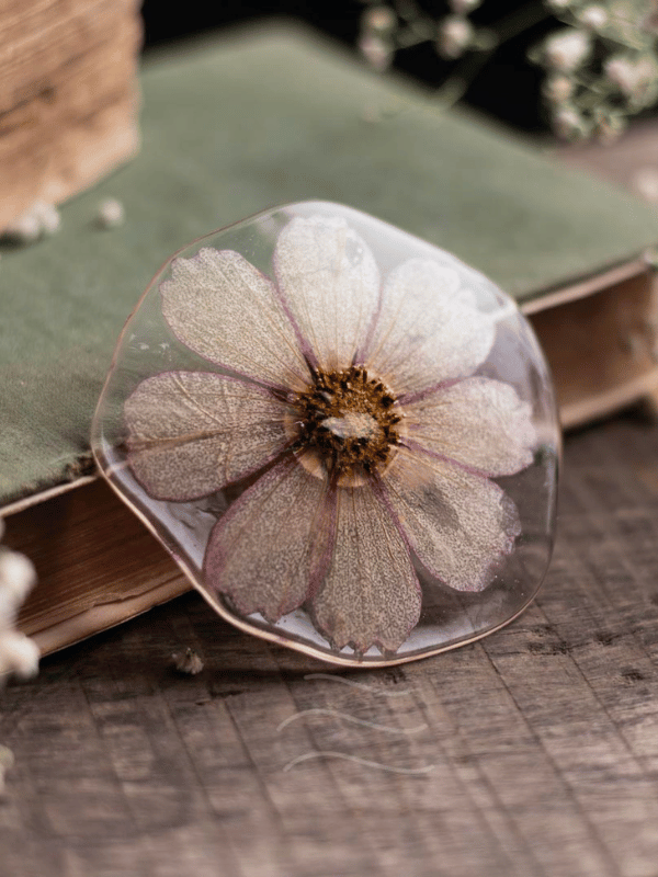 Candy Cosmos Pin : LA-PP-CA