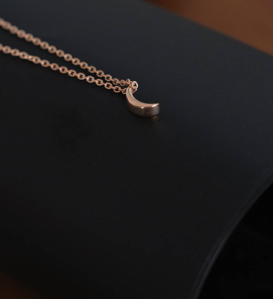 Crescent Moon Necklace : AJJSS0233