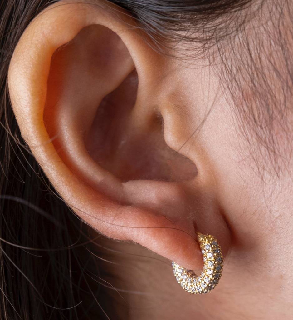 Pave Mini Hoops : AJJ_0264_SSGV