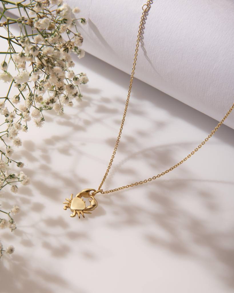 Crab Zodiac Pendant Necklace : AJPN3