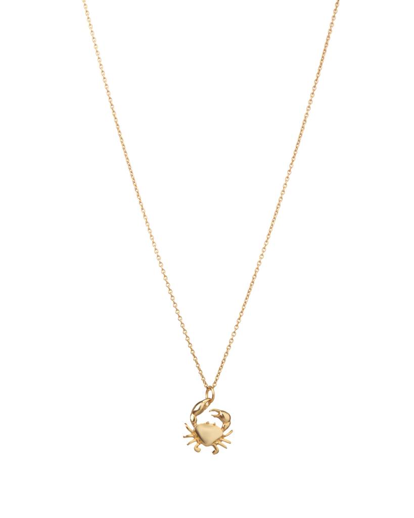 Crab Zodiac Pendant Necklace : AJPN3