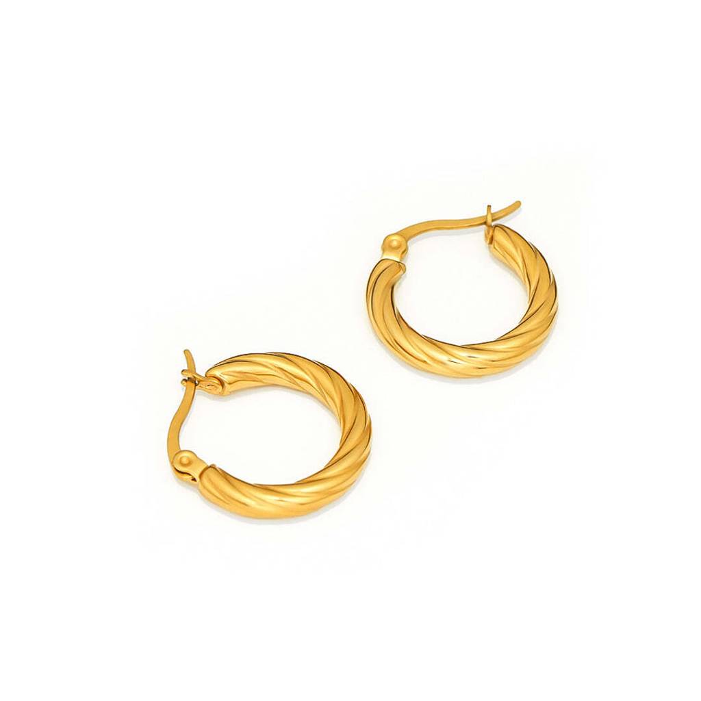 Cleo Twist Hoops Earrings For Women & Girls : AMACLTWHPER