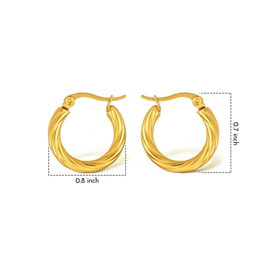Cleo Twist Hoops Earrings For Women & Girls : AMACLTWHPER