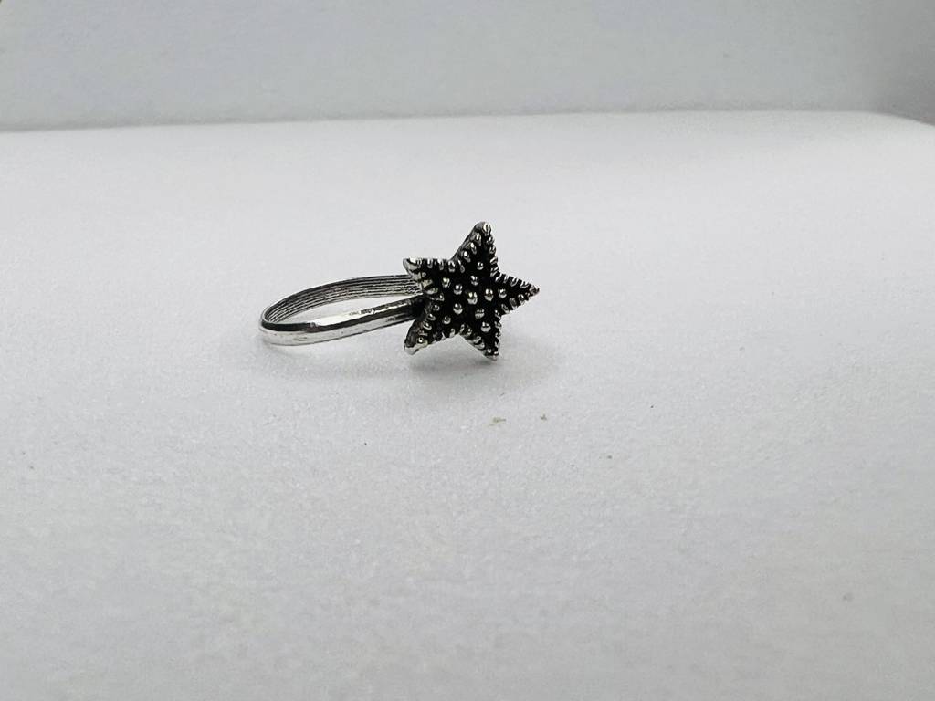 Silver Star Shaped Clip On Nose Pin : ARSNP278