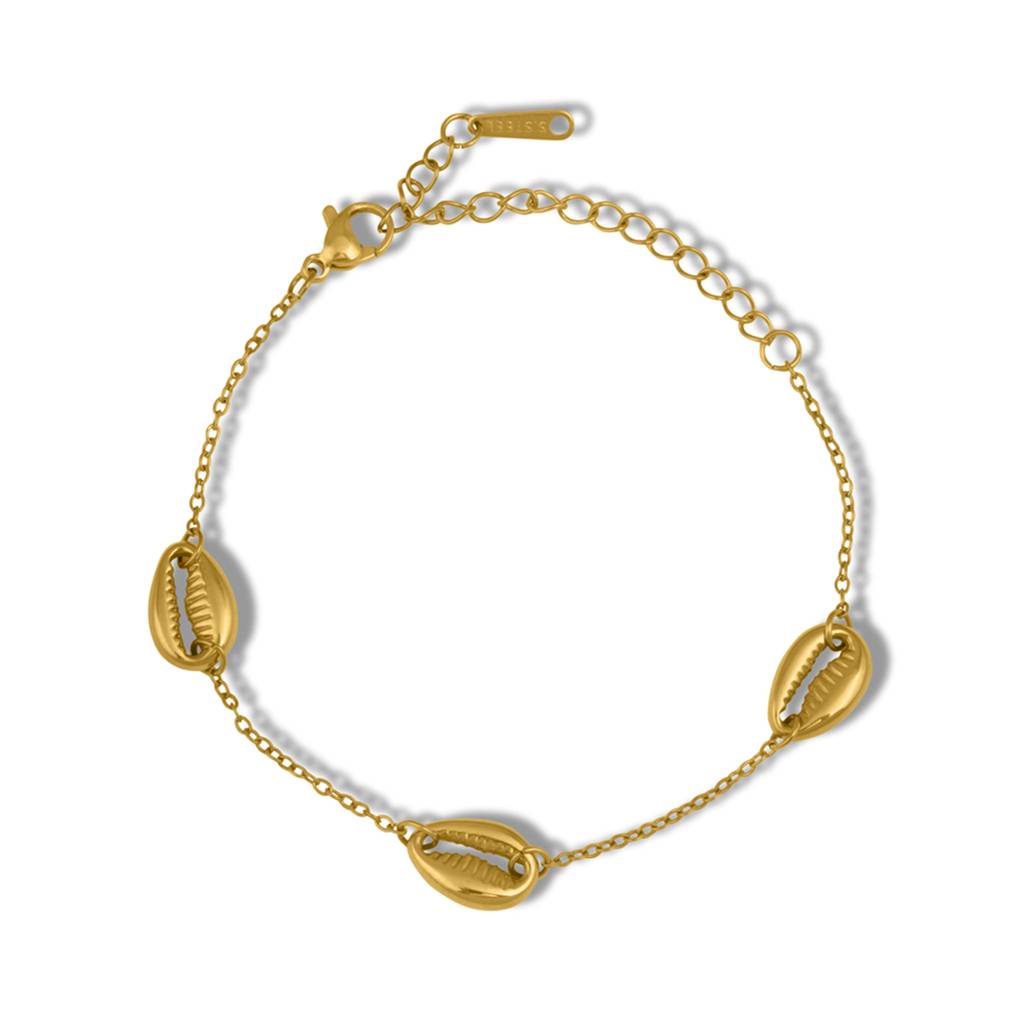 Triple Cowrie Charm Bracelet For Women : BR0209