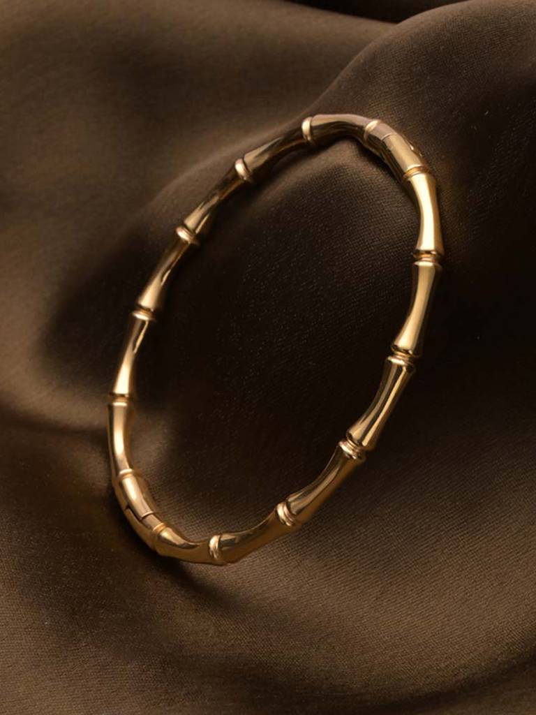 Stainless Steel Women'S Gilded Bones Bangle Bracelet : BR124